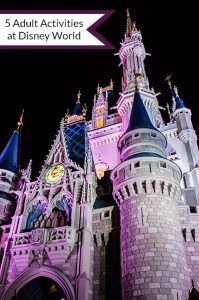 5 Adult Activities at Disney World