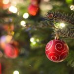 How to photograph Christmas Trees