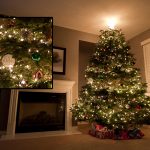 How to photograph Christmas Trees