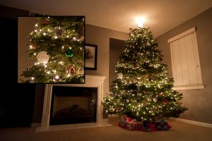 How to photograph Christmas Trees