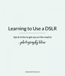 Ever wonder what to do after you buy a camera? Get on the road to photography bliss with these five tips on how to get started learning to use a DSLR.