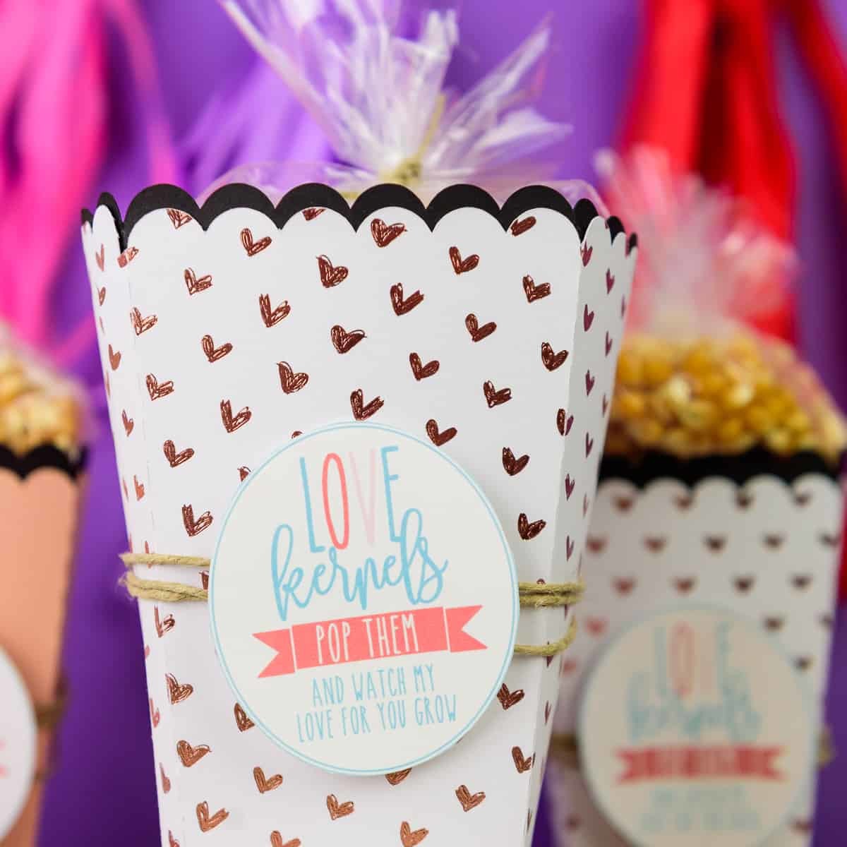 Valentine Popcorn Gift Bags - After Christmas I'm all candied out, so I tend to snack on popcorn instead. We typically don't pop our own but I couldn't resist trying it just so I could make these Crazy Ex Girlfriend inspired popcorn gift bags!