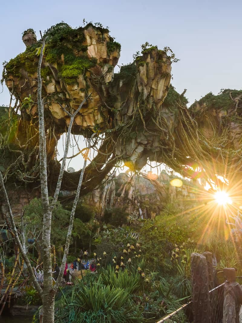 Skip Long Lines at Disney's Pandora - If you're sick of refreshing the Fastpass+ page and praying that Fastpasses for Pandora will magically appear, you're not alone! If you're sick of waiting for them to just show up on the My Disney Experience App but want to go on the ride anyway, there are a few ways you can skip the long lines at Pandora but still go on the ride!