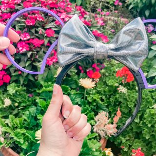 3D Printed Interchangeable Mickey Ears